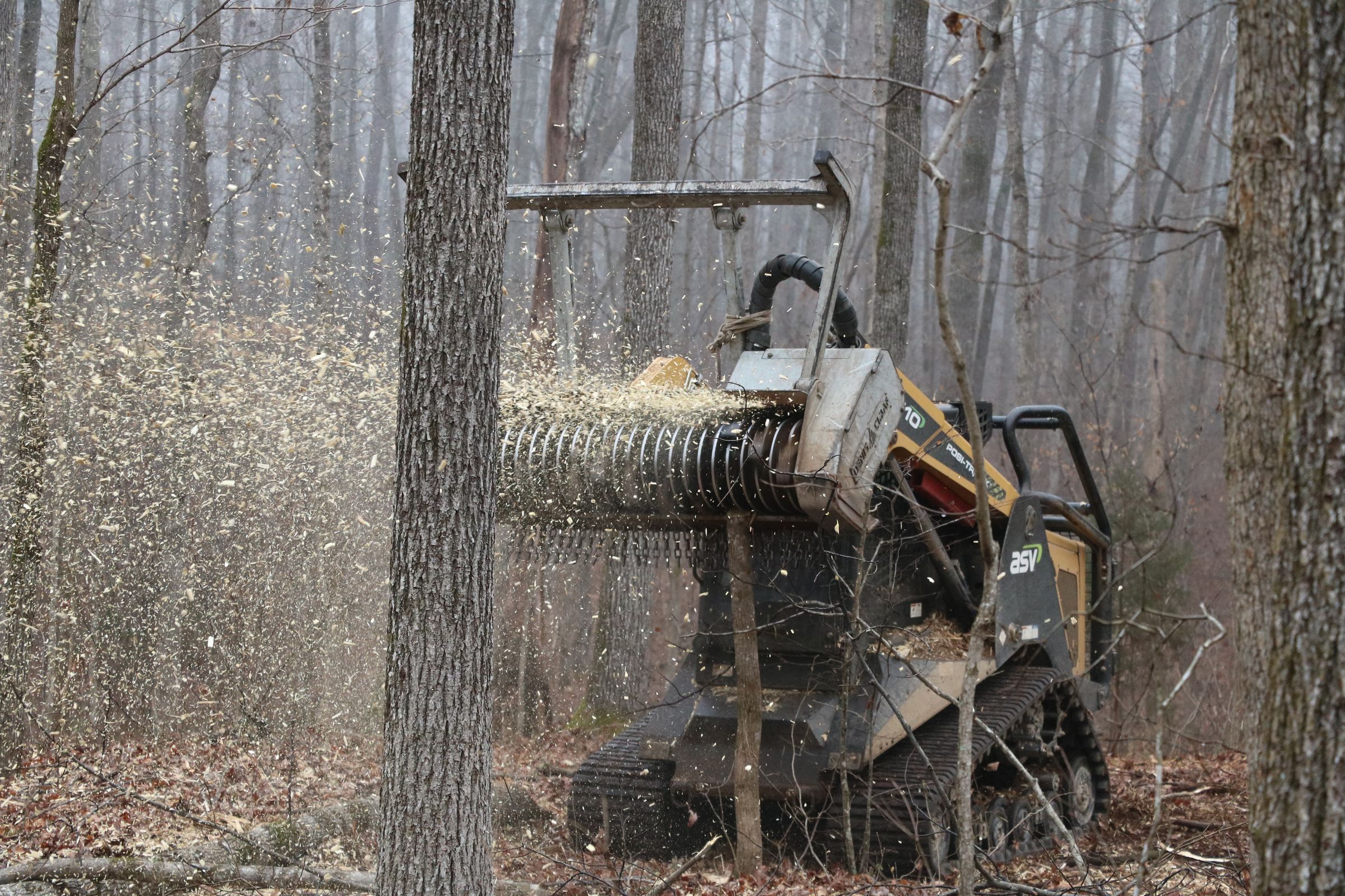 A compact track loader with a forestry mulcher head cuts brush between hardwood trunks. Chips fly from the drum.