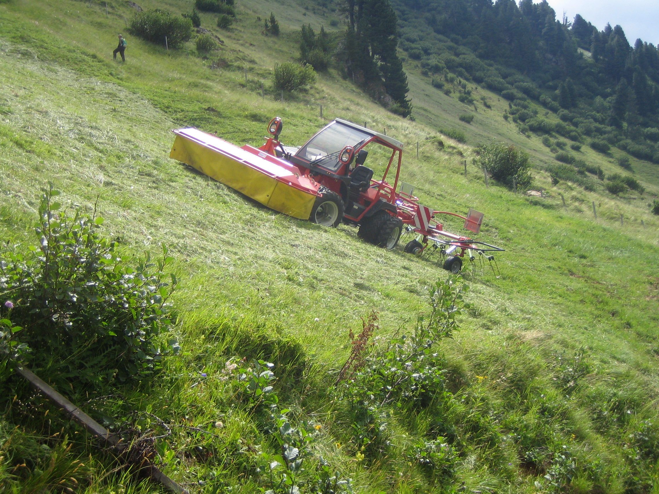 A red Reform Metrac slope tractor with a front mower works across a steep grass slope below a tree line.
